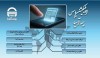 یاس؛ نقطه تمرکز تحول دیجیتال بیمه آسیا